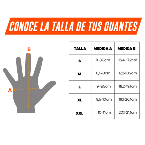 Imagen 7